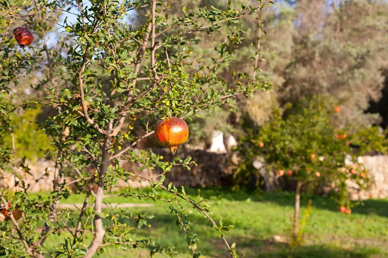 Gospodarstwo agroturystyczne Agroturisme Ca'N Gaia Portocolom