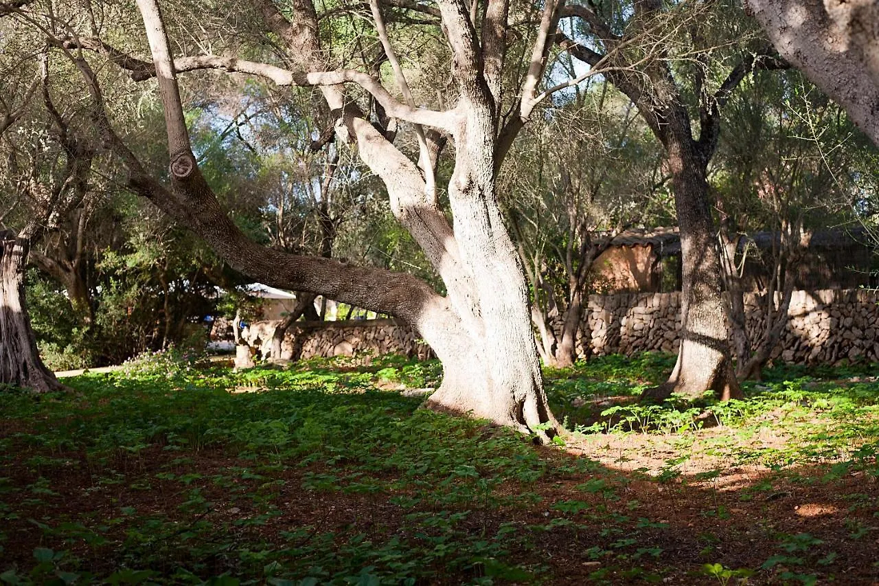 Agroturisme Ca'N Gaia Portocolom  Hiszpania